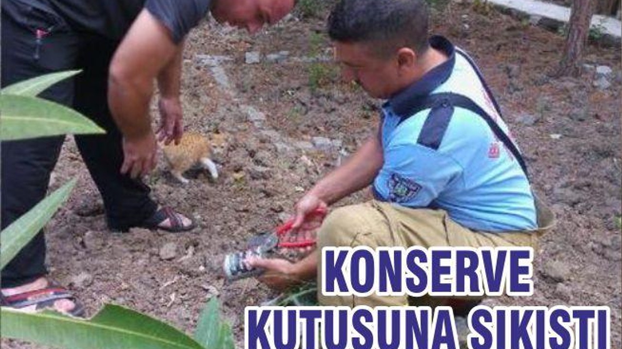 KONSERVE KUTUSUNA SIKIŞTI