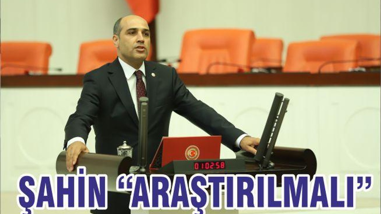 ŞAHİN “ARAŞTIRILMALI”
