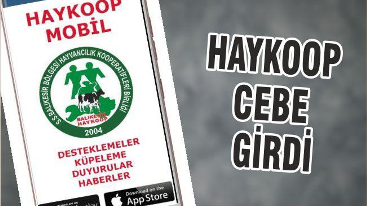 HAYKOOP CEBE GİRDİ