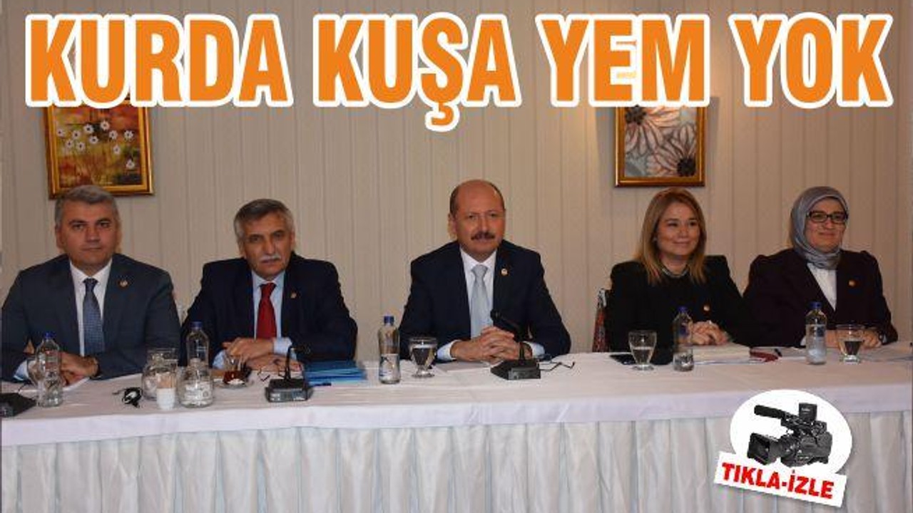 KURDA KUŞA YEM YOK