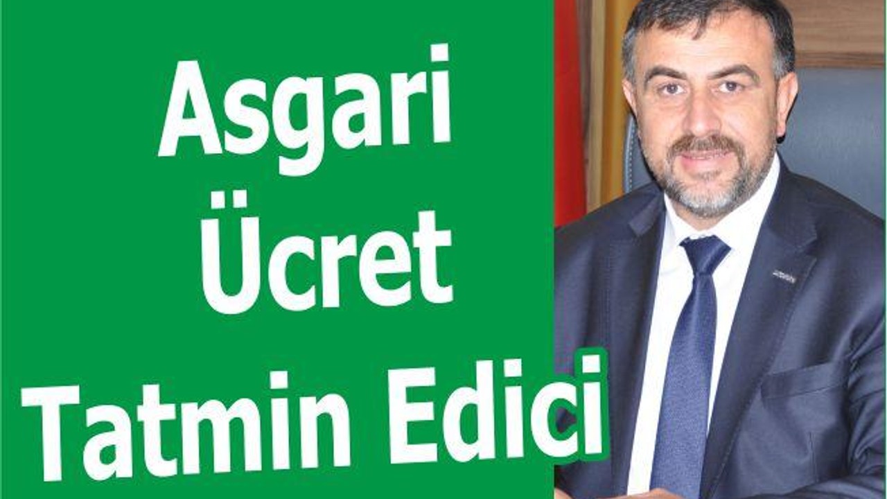 Asgari Ücret Tatmin Edici