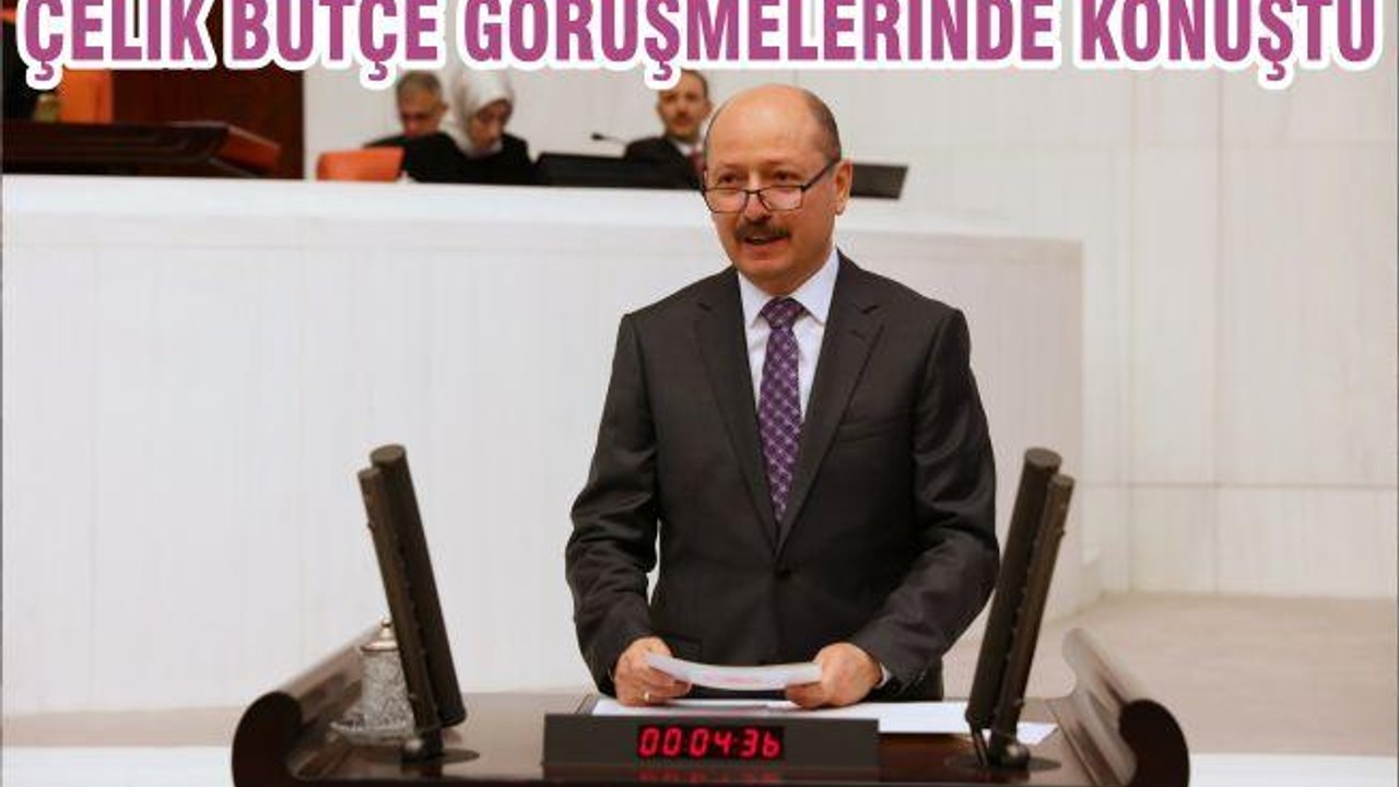 ÇELİK BÜTÇE GÖRÜŞMELERİNDE KONUŞTU