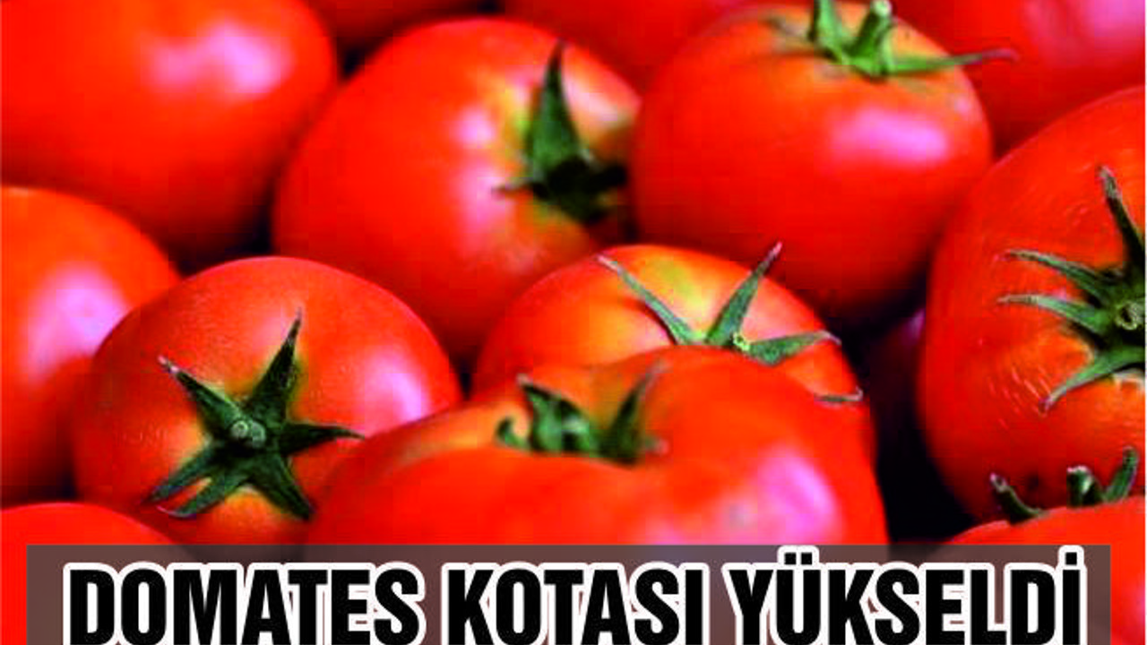 Rusya'nın Türkiye'den domates kotası 100 bin tona çıktı