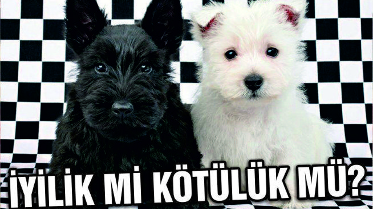 İYİLİK Mİ KÖTÜLÜK MÜ?