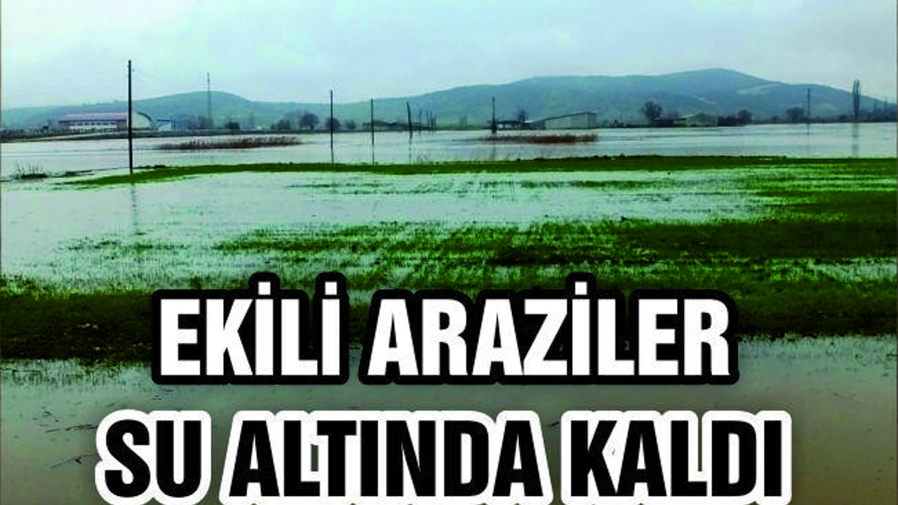 BİGADİÇ'TE EKİLİ ARAZİLER SU ALTINDA KALDI