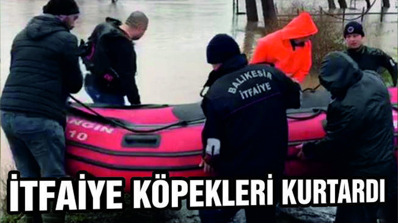 MAHSUR KALAN KÖPEKLER KURTARILDI