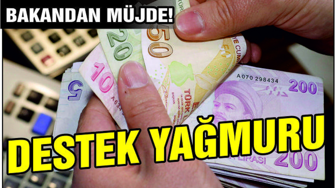 DESTEK YAĞMURU