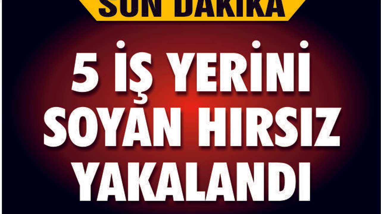 5 İŞ YERİNİ SOYAN HIRSIZ YAKALANDI
