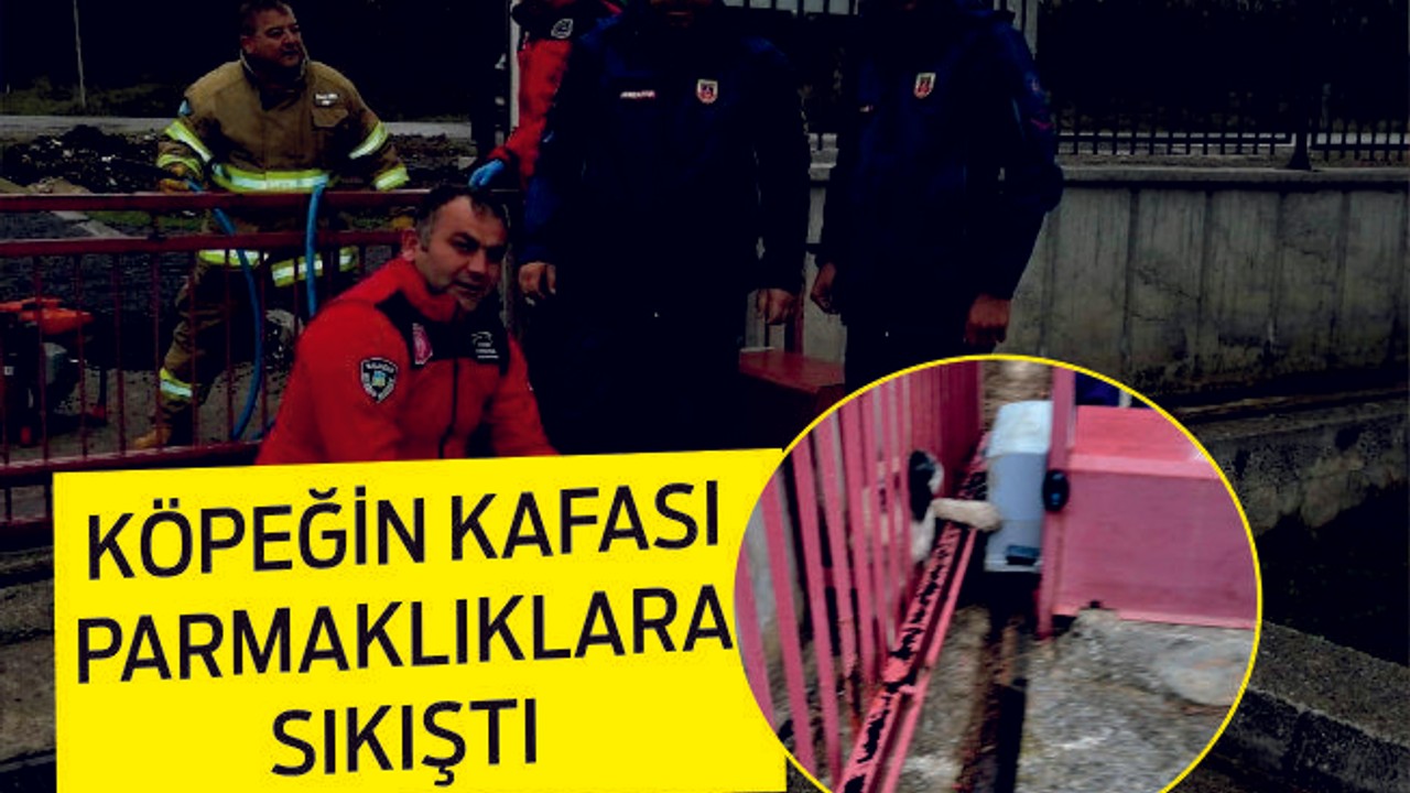KAFASI PARMAKLIKLARA SIKIŞTI
