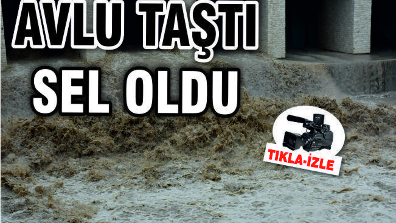 AVLU TAŞTI SEL OLDU