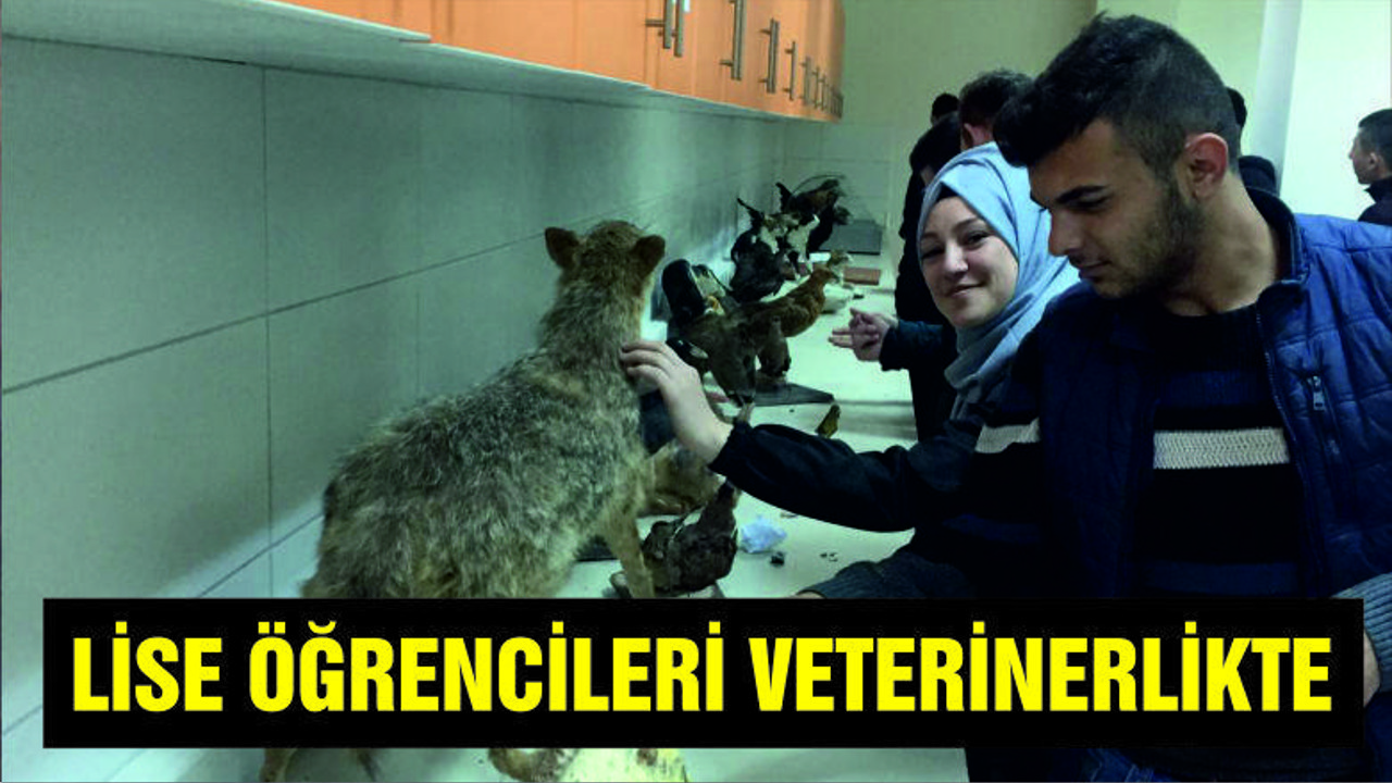 Lise öğrencileri Veterinerlikte