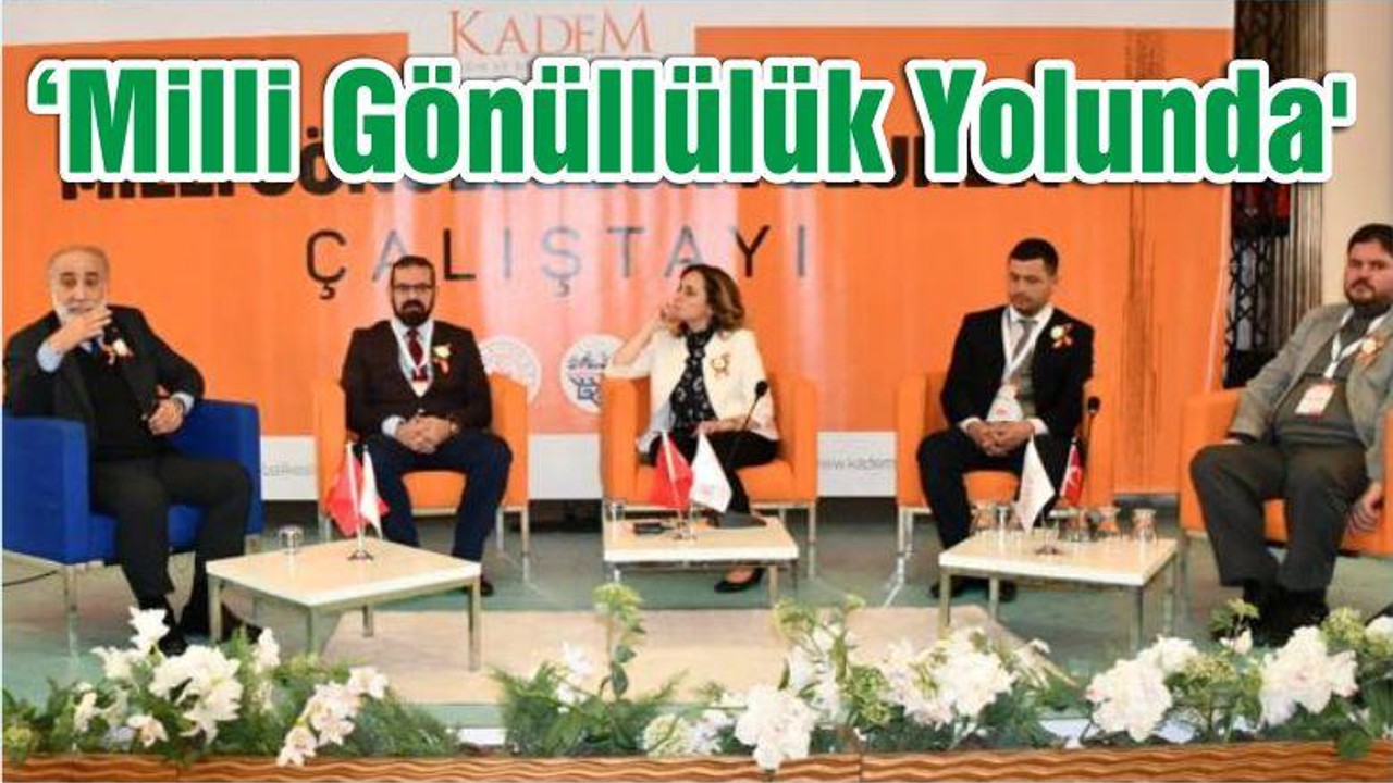 ‘Milli Gönüllülük Yolunda' Çalıştayı Yapıldı