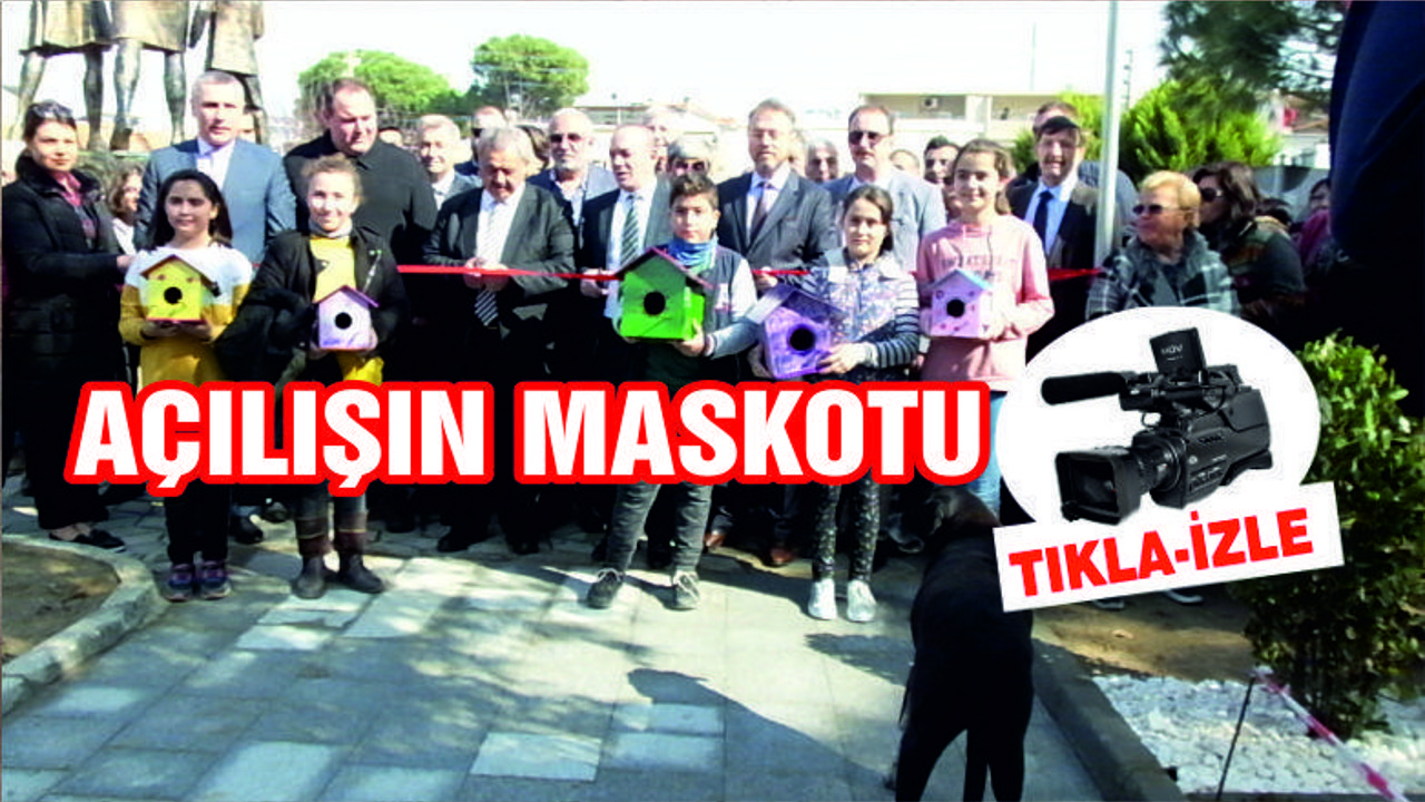 Sokak Köpeği Açılışın Maskotu Oldu
