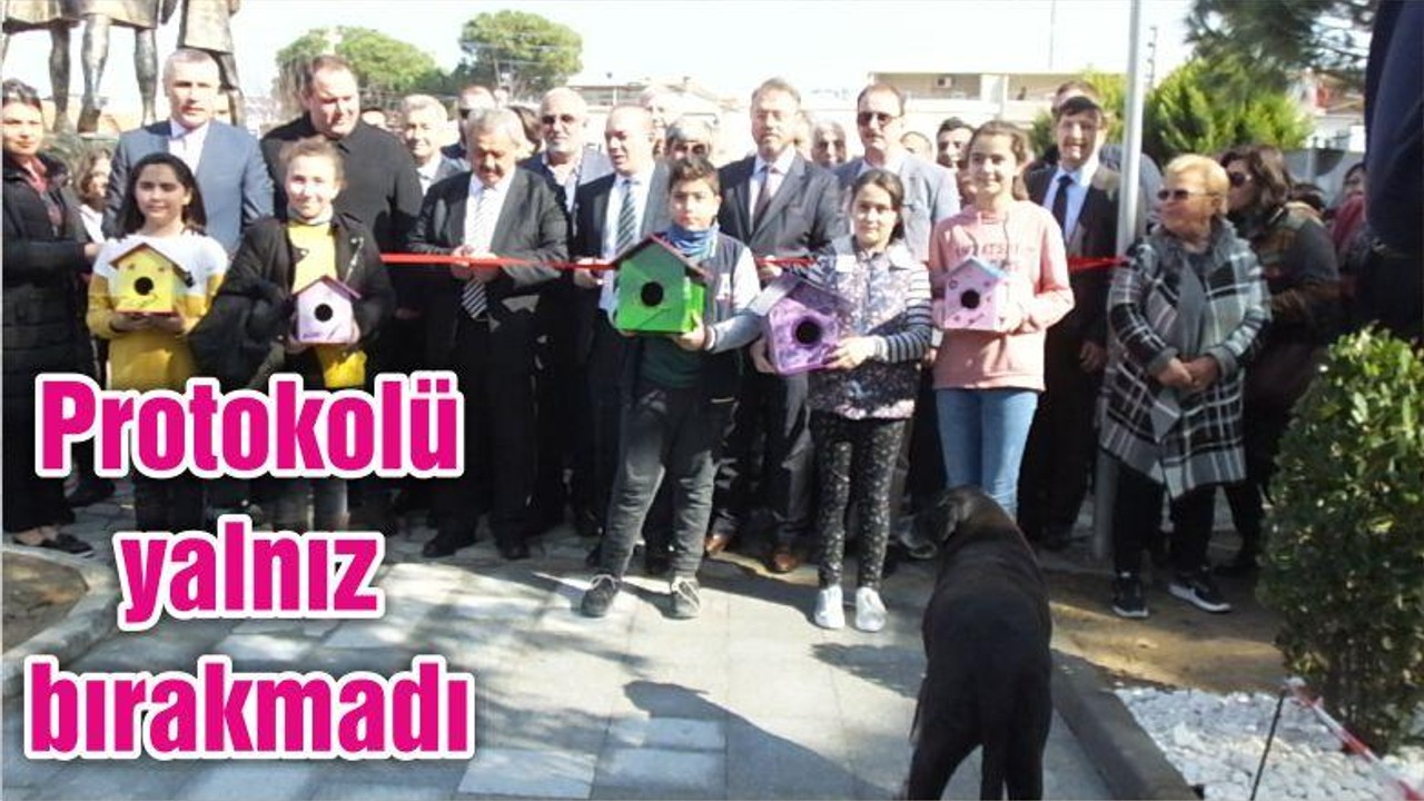 Sokak köpeği açılışın maskotu oldu
