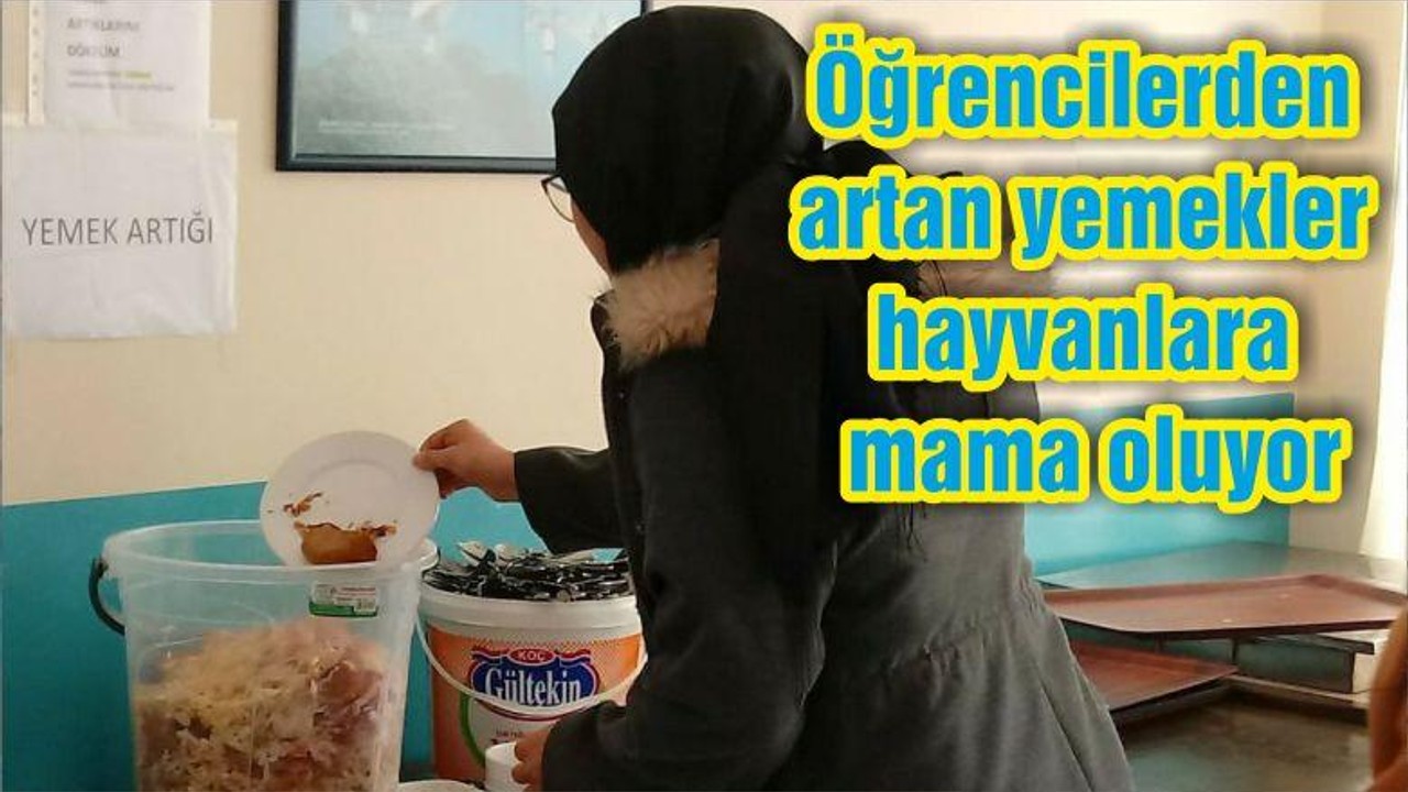 Öğrencilerden artan yemekler hayvanlara mama oluyor