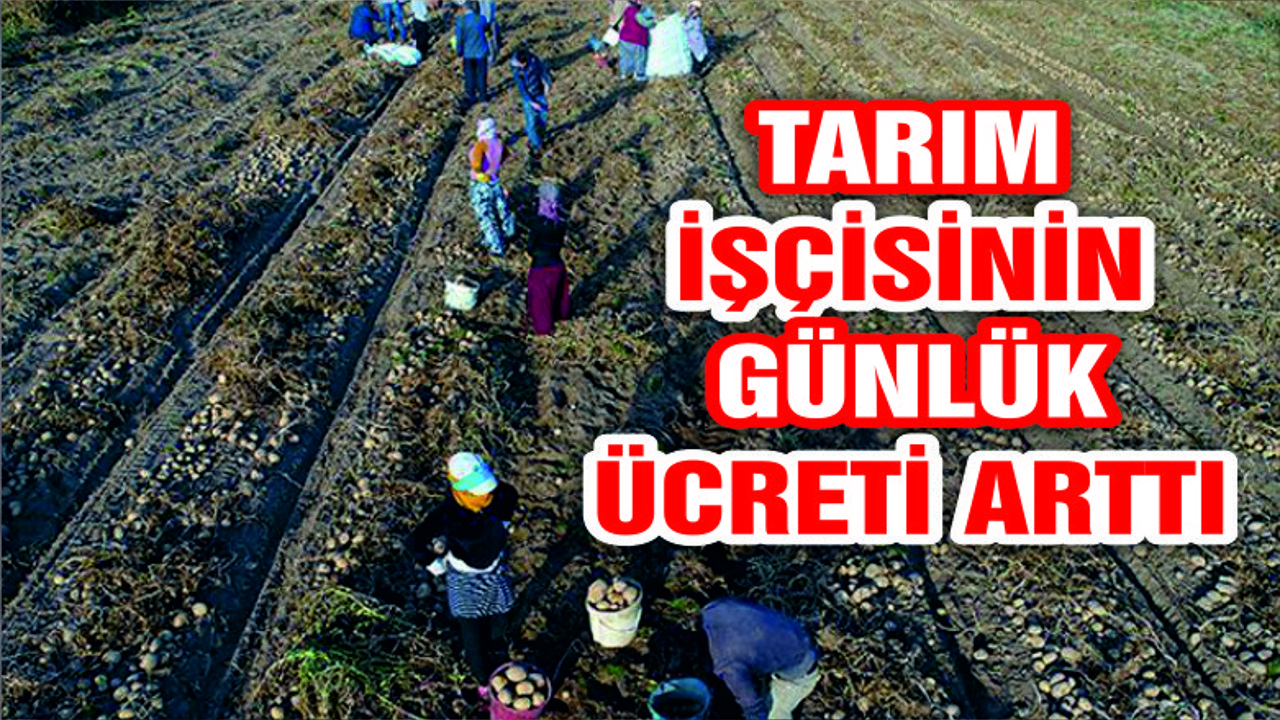 Tarım işçisinin günlük ücreti arttı