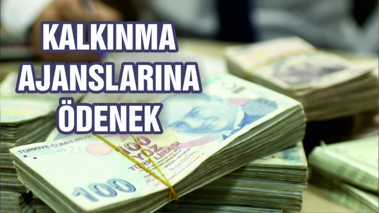 Kalkınma ajanslarına milyonlarca lira transfer ödeneği