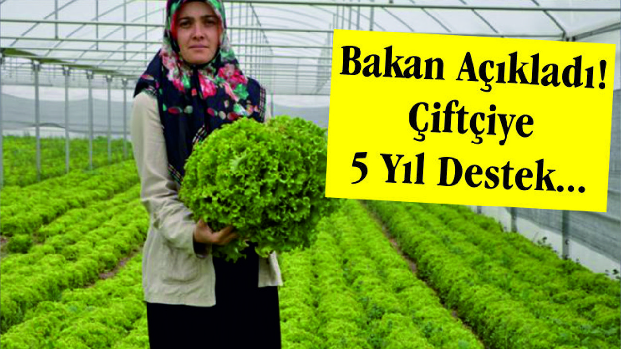 PAKDEMİRLİ "5 YIL DESTEK VERİLECEK"