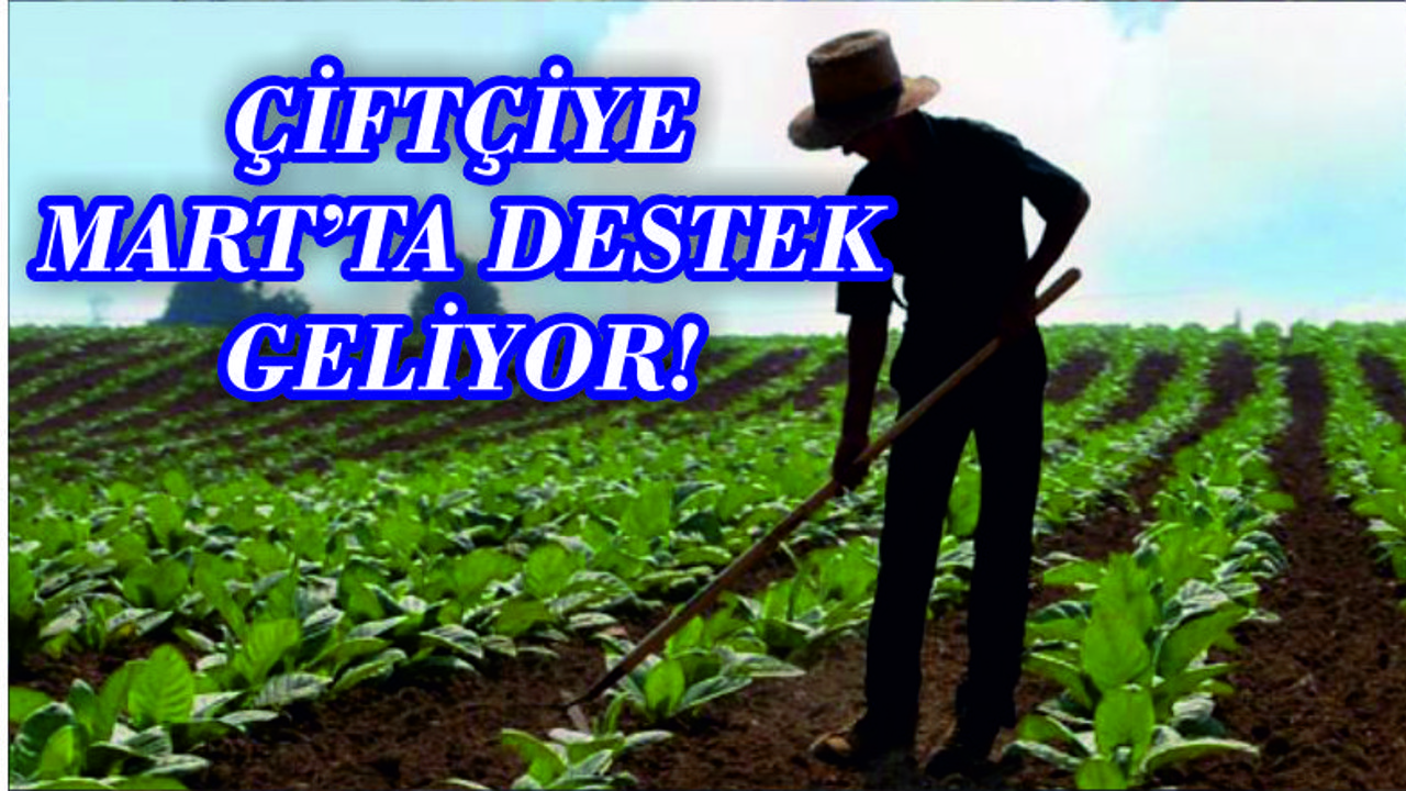 ERDOĞAN "MART AYI İÇİNDE 3 MİLYAR 716 MİLYON ÇİFTÇİYE DESTEK"