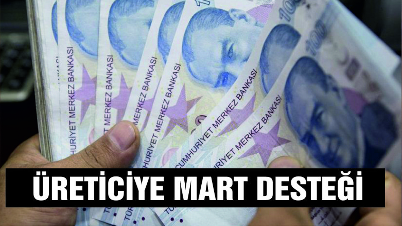 Üreticiye tarımsal destek sürüyor