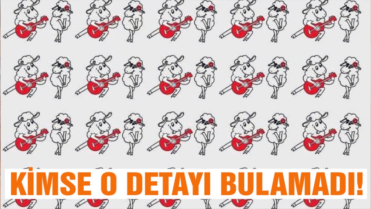 BU FARKI BULABİLECEK MİSİNİZ?