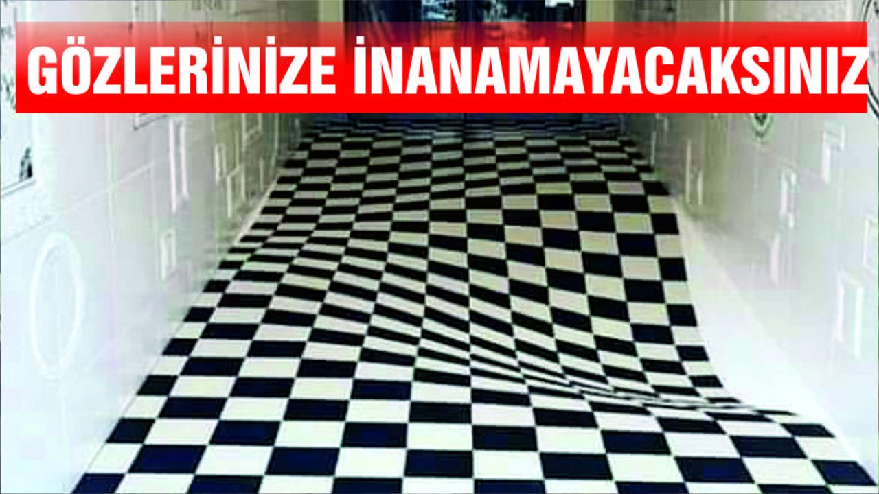 ÜÇ BOYUTLU RESİMLER