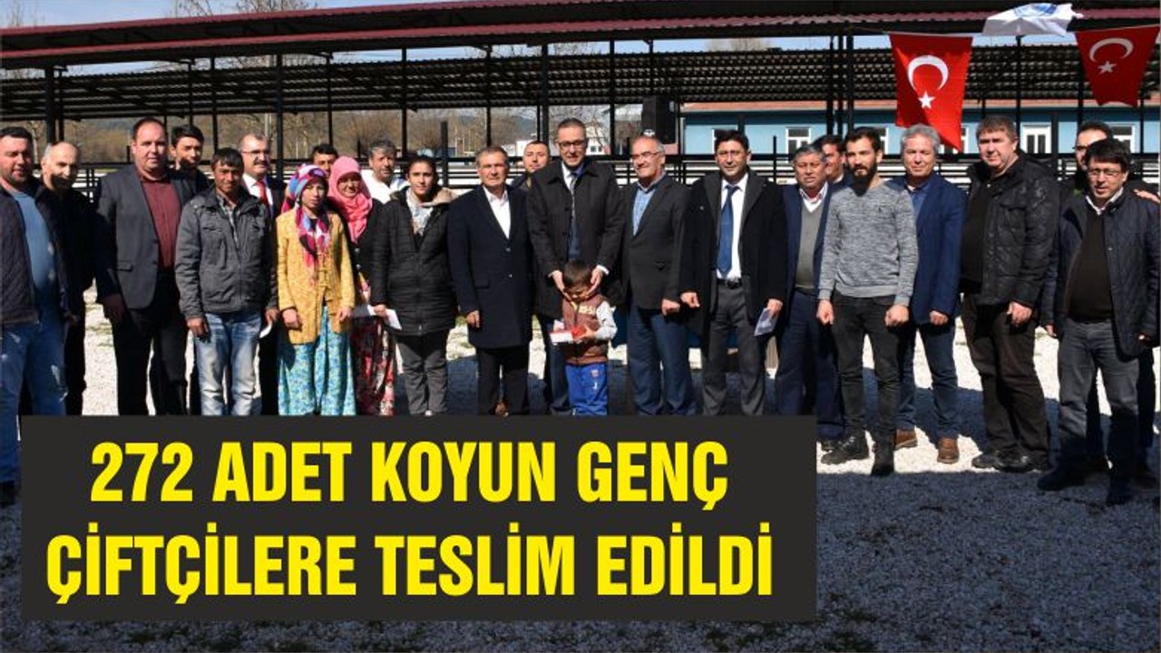 272 ADET KOYUN GENÇ ÇİFTÇİLERE TESLİM EDİLDİ