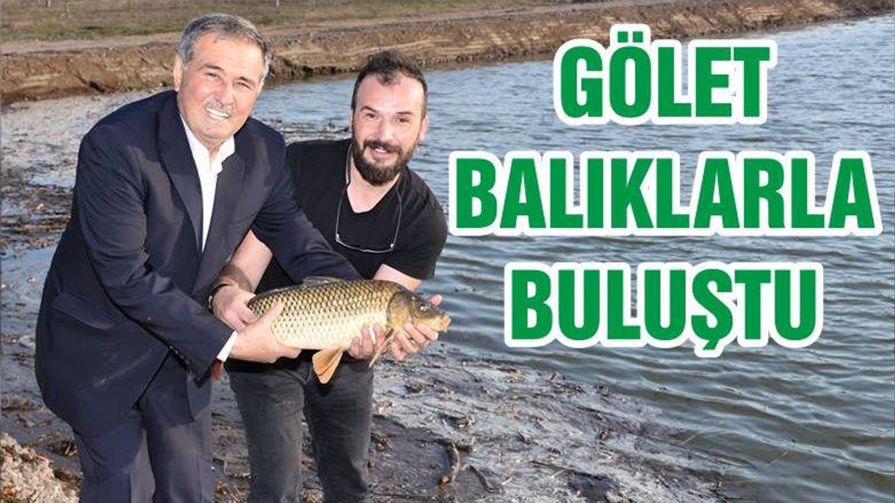 GÖLET BALIKLARLA BULUŞTU