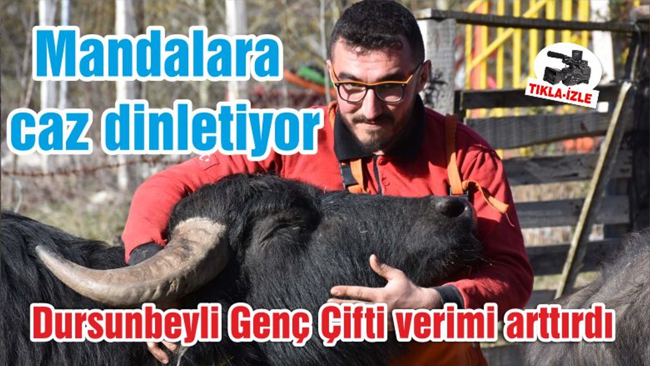 Mandalara caz dinletiyor