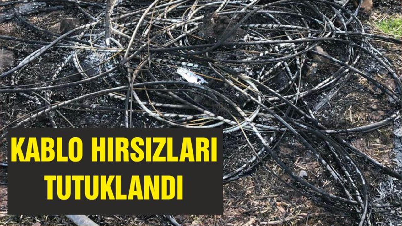 KABLO HIRSIZLARI TUTUKLANDI