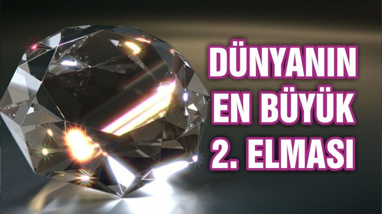 Dünyanın en büyük 2’nci elması bulundu