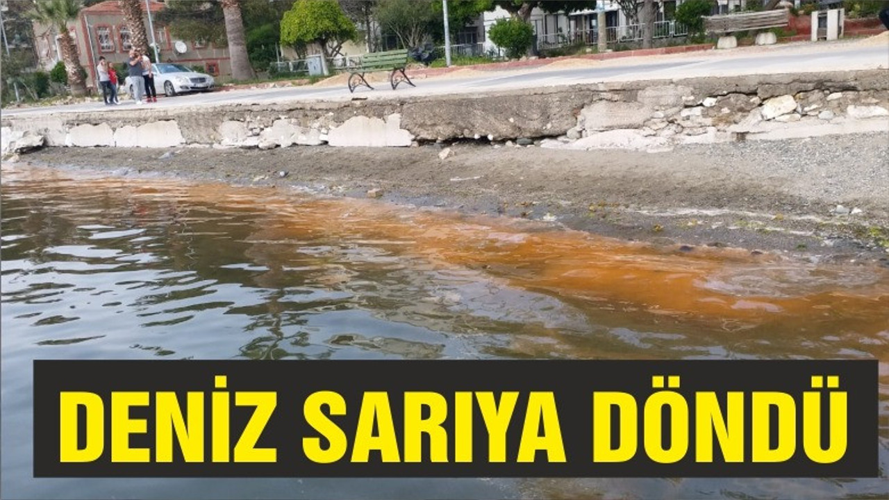 Deniz Sarıya Döndü