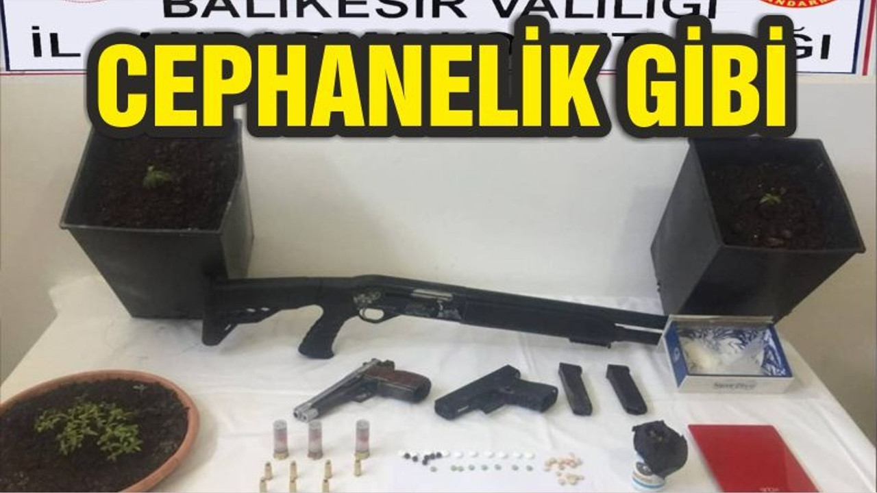 CEPHANELİK GİBİ