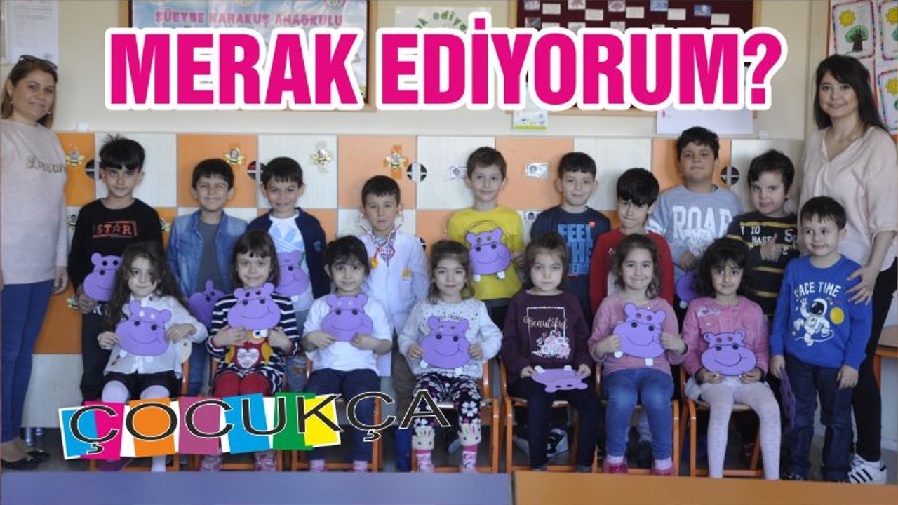 MERAK EDİYORUM?