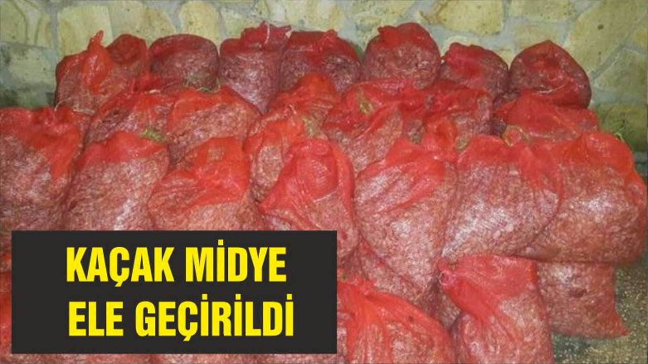 KAÇAK MİDYE ELE GEÇİRİLDİ