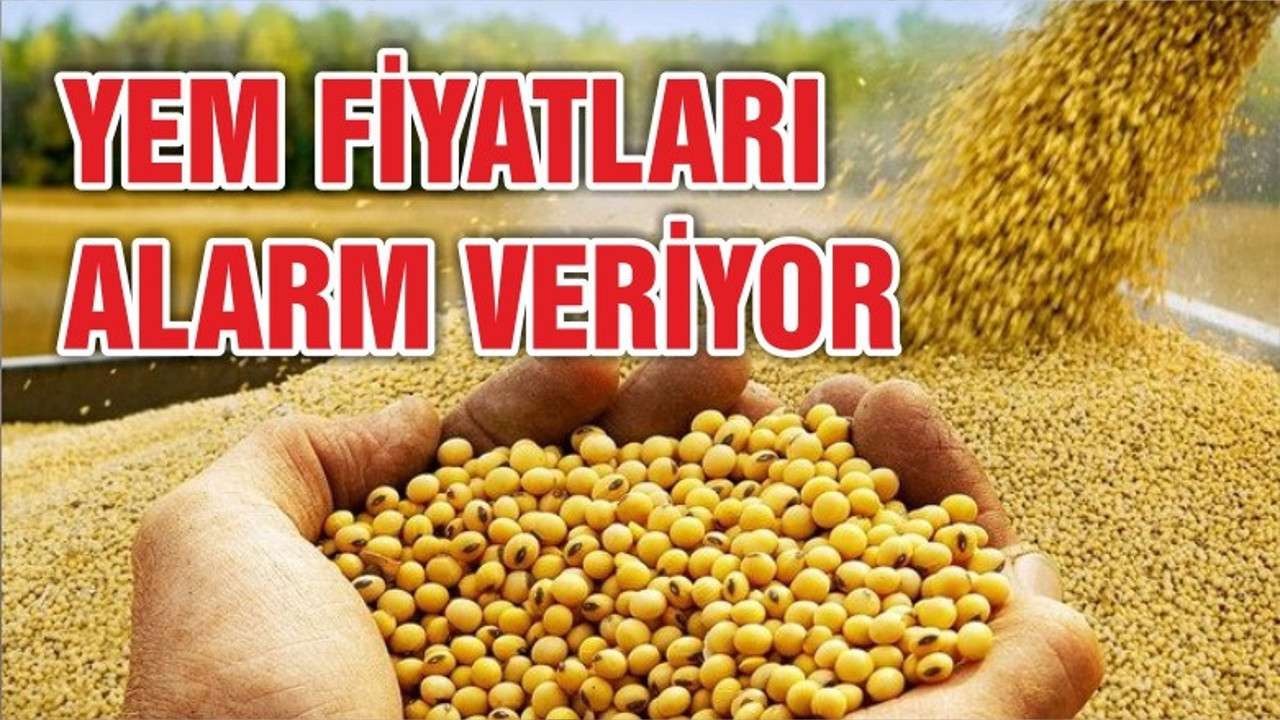 Yem fiyatları kontrol altına alınmalı!