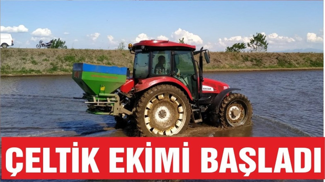 ÇELTİK EKİMİ BAŞLADI