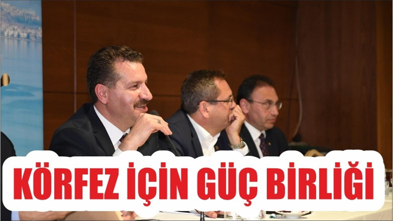 KÖRFEZ İÇİN GÜÇ BİRLİĞİ