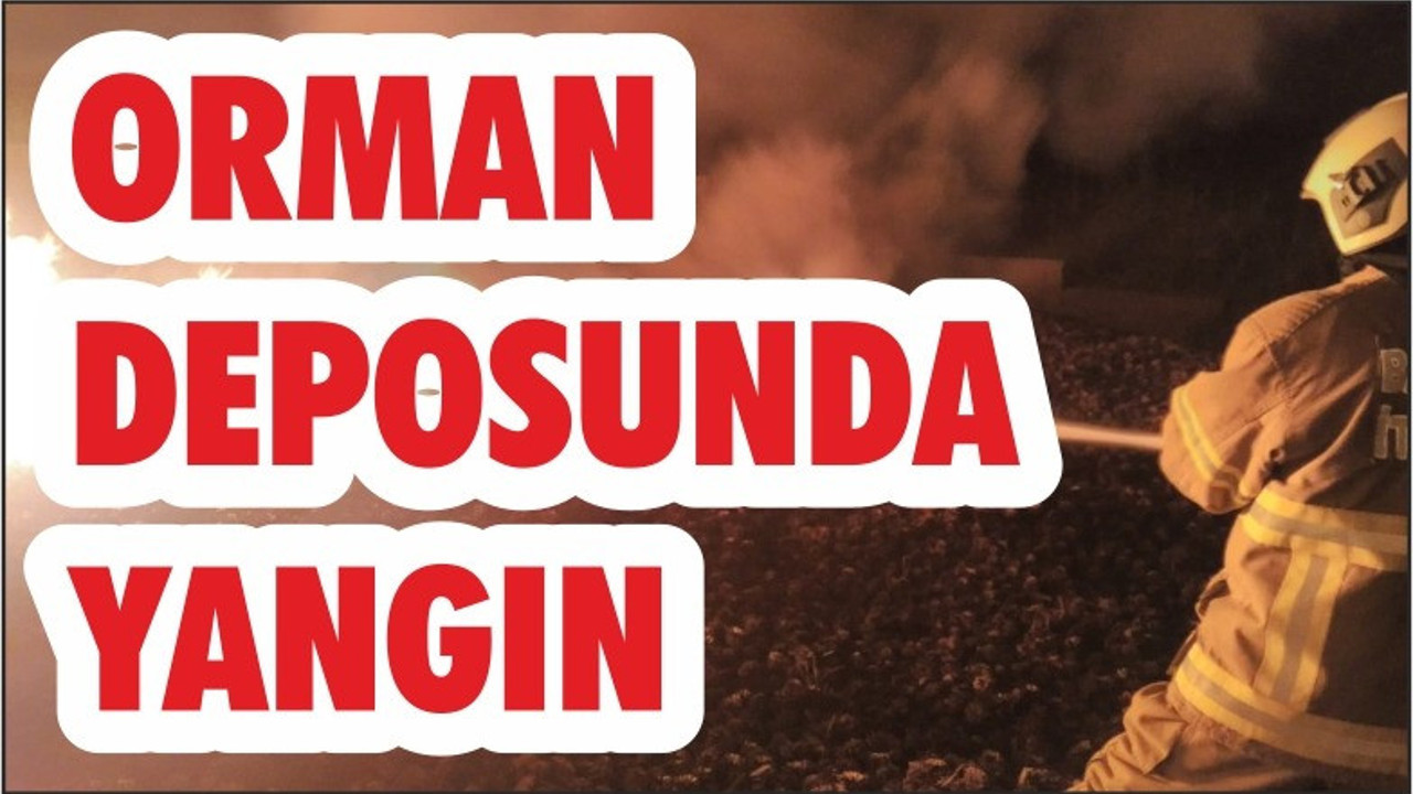 ORMAN DEPOSUNDA YANGIN