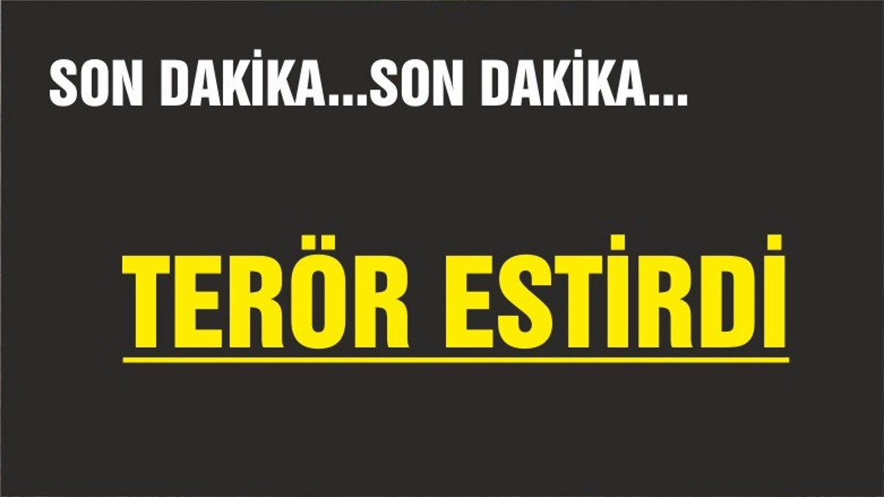 EDREMİT’TE TERÖR ESTİRDİ