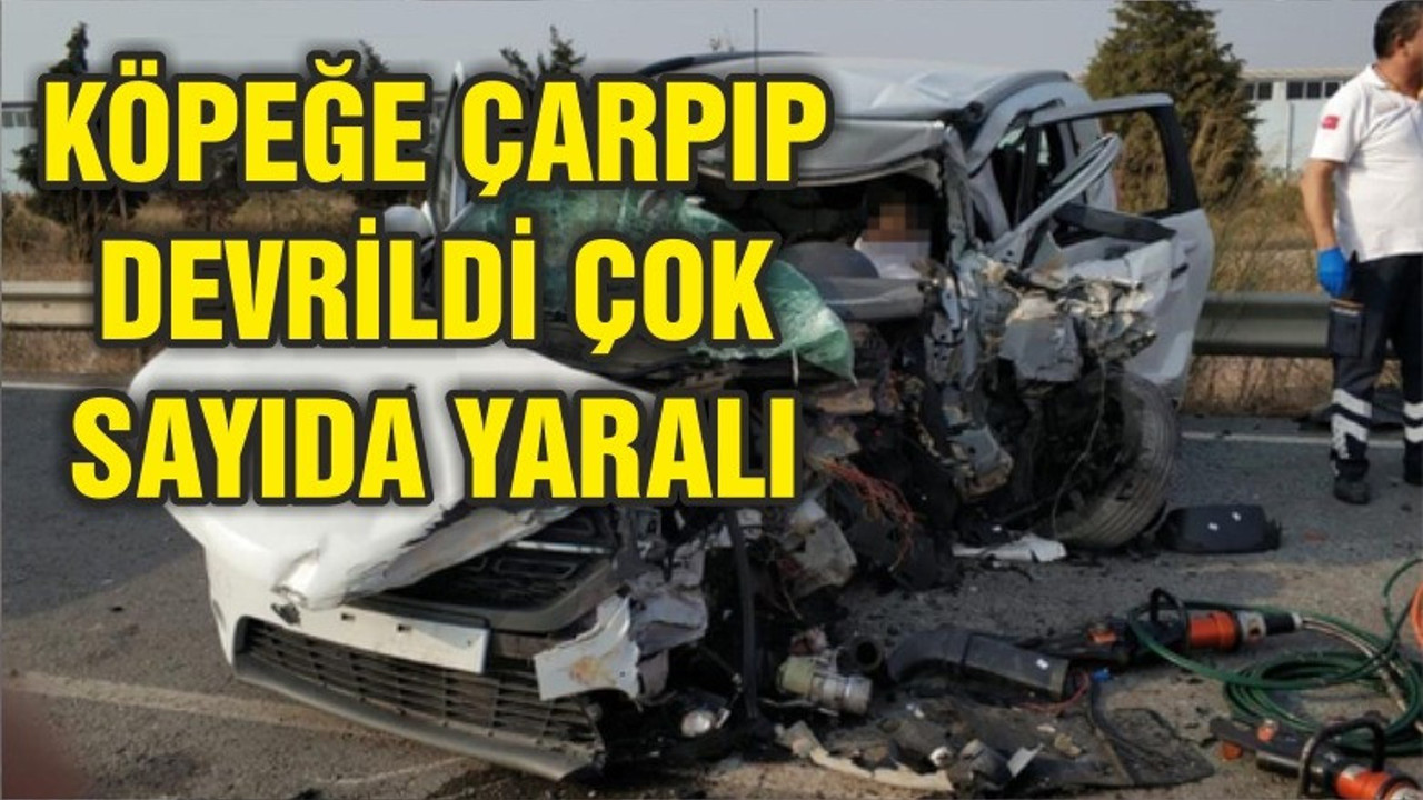 BALIKESİR'DE KÖPEĞE ÇARPAN ARAÇ DEVRİLDİ
