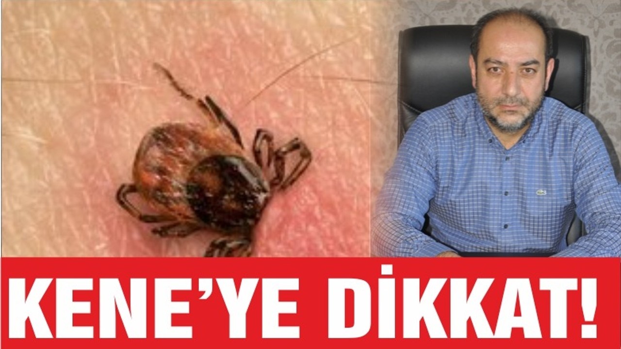 VETERİNERLERDEN “KENE” UYARISI