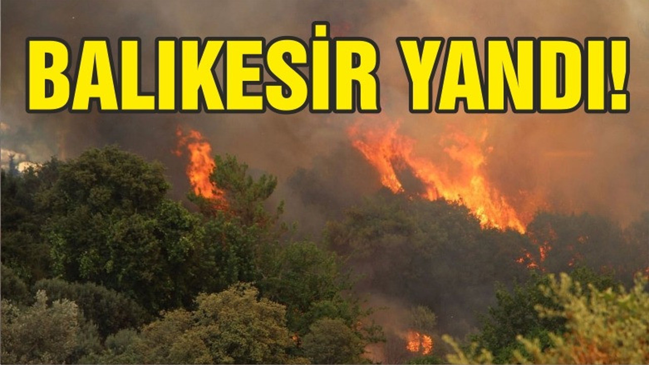 BALIKESİR ALEV ALEV YANDI