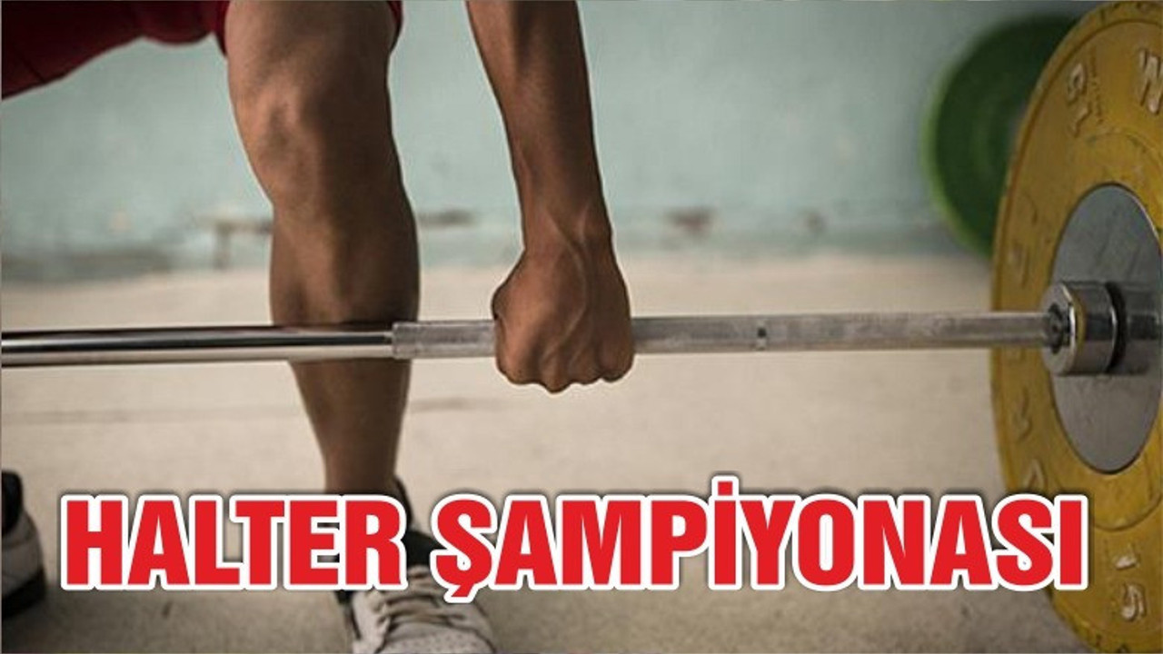 Halter Şampiyonasında gümüş madalya bizim