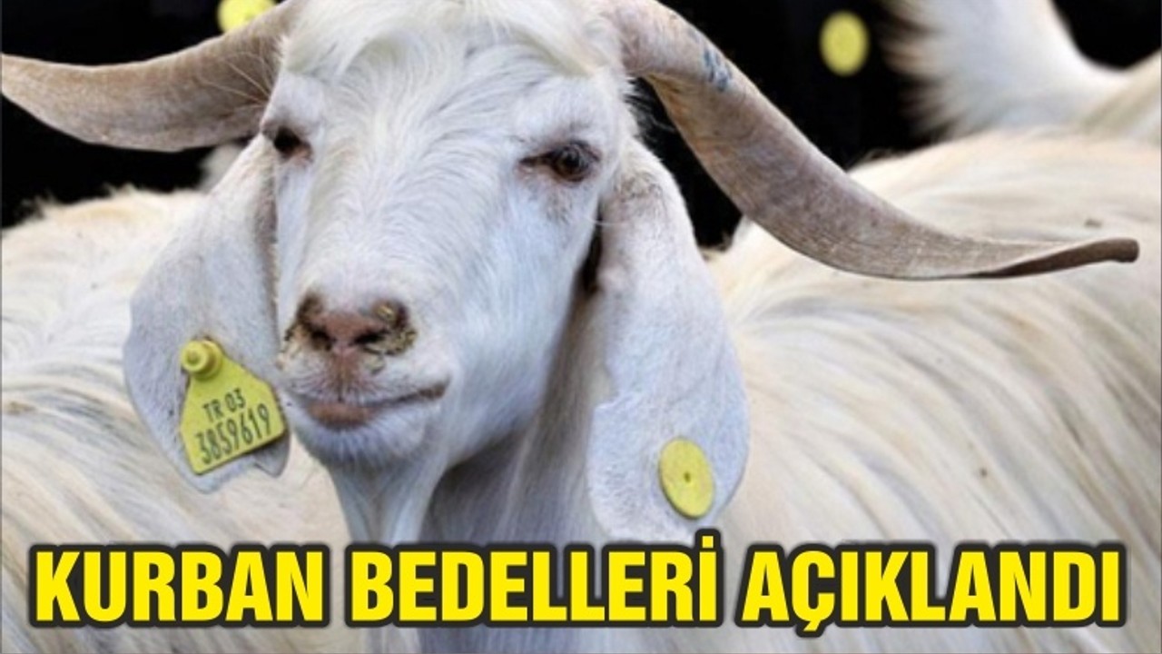 Vekalet yoluyla kurban kesim bedelleri belirlendi