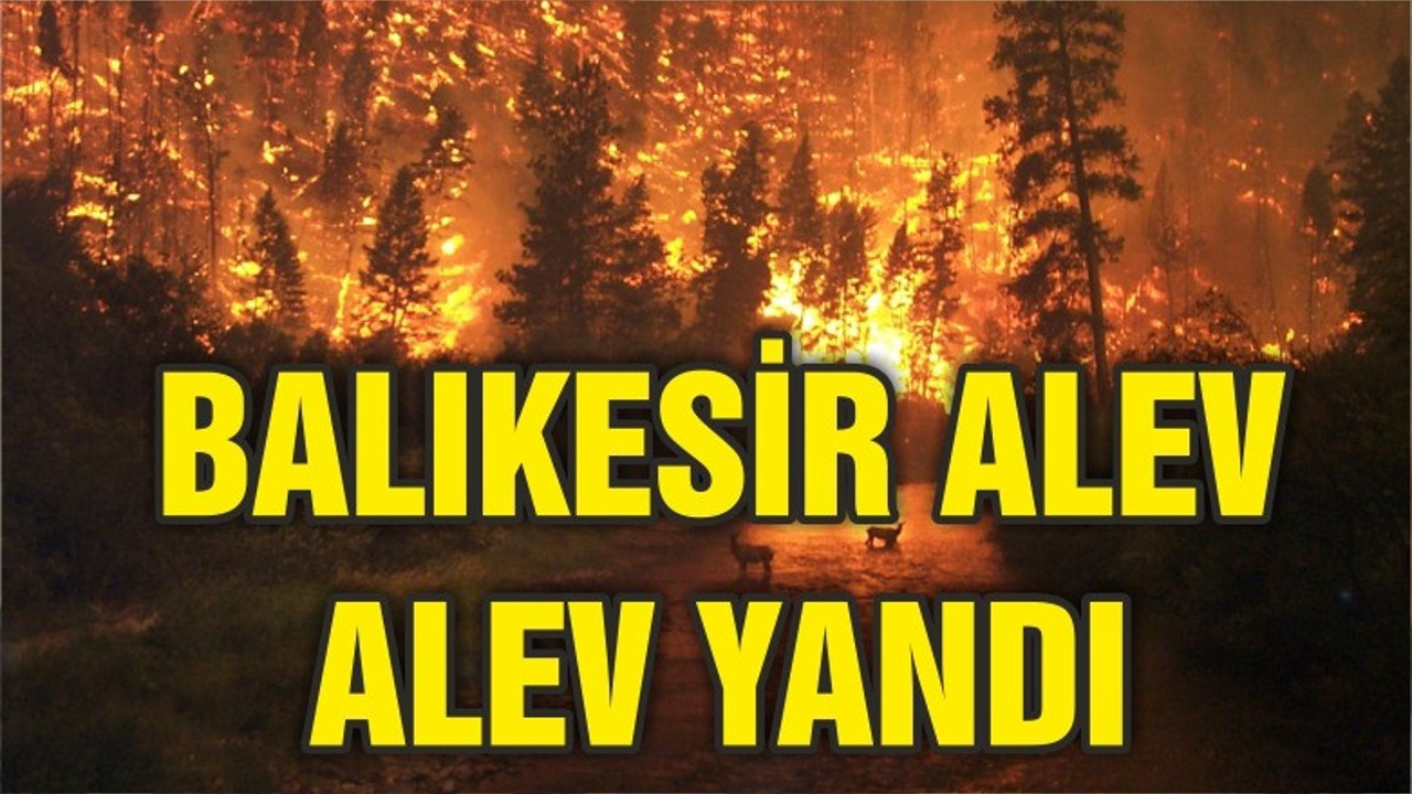 BALIKESİR ALEV ALEV YANDI