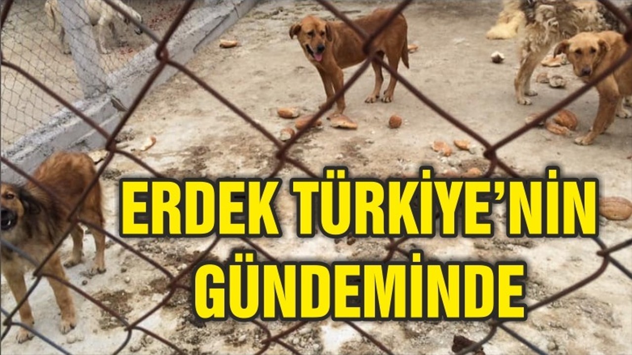 ERDEK TWİTTER'DA TT OLDU