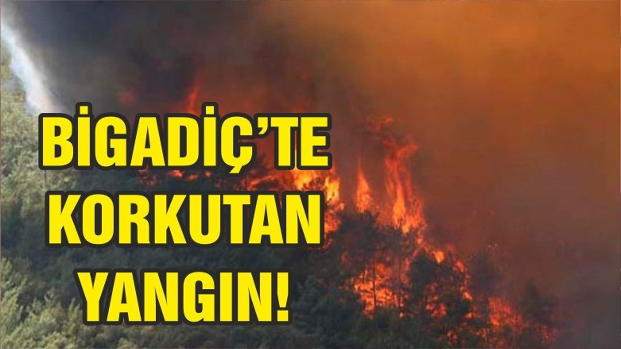 BİGADİÇ'TE KORKUTAN YANGIN