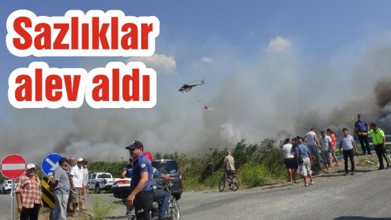 Sazlıklar alev aldı