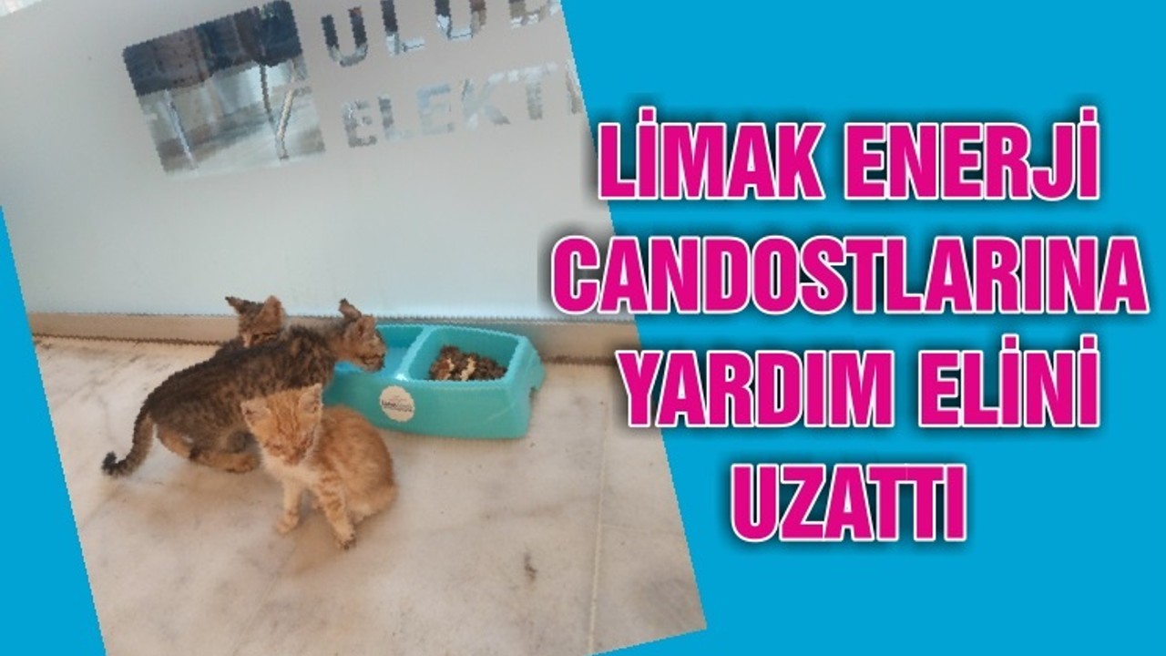 LİMAK ENERJİ, CANDOSTLARINA YARDIM ELİNİ UZATTI